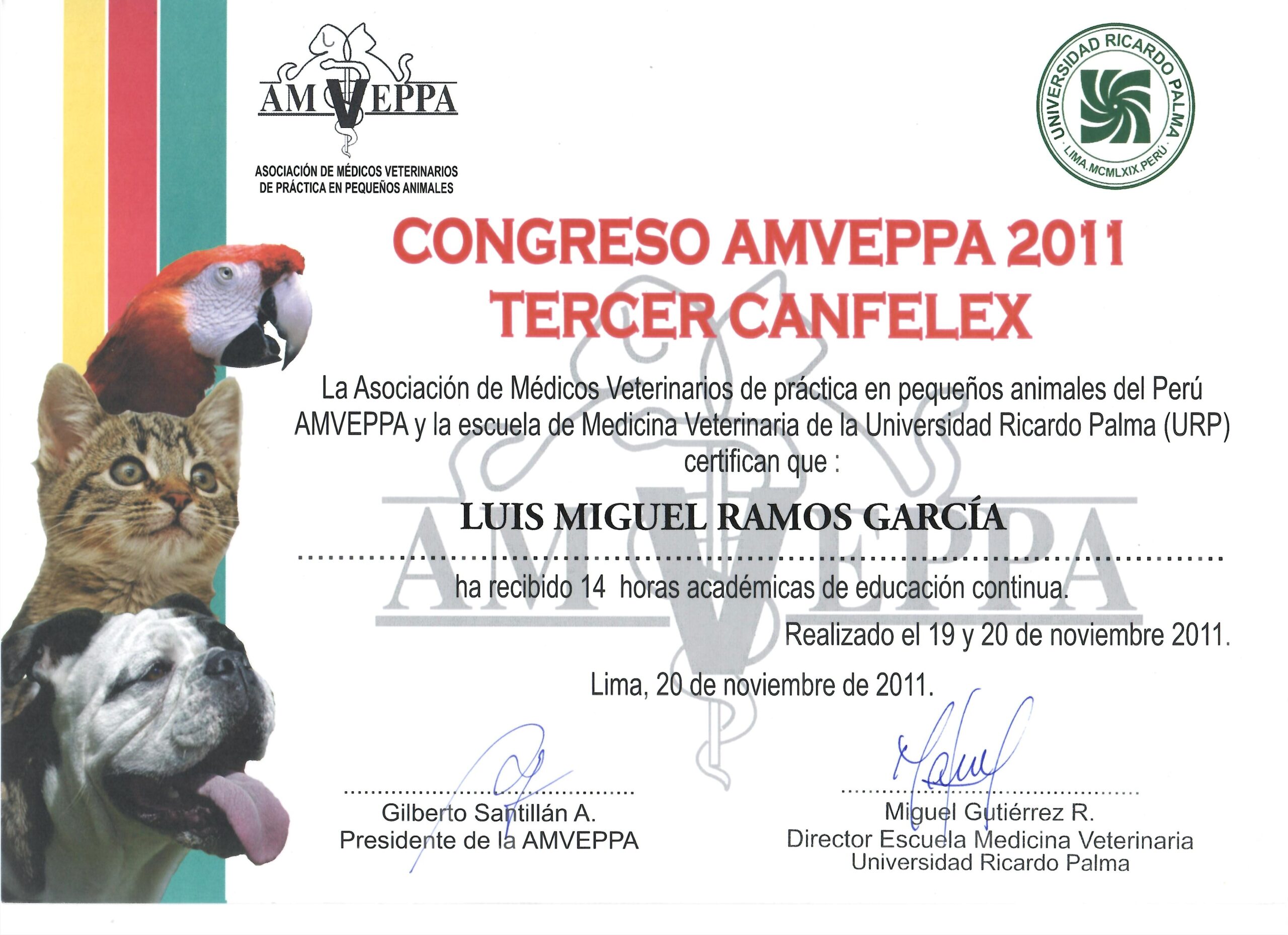 Documento_2025-11-10_115736